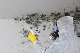 Best Mold Documentation for Insurance Claims  in Denham Springs, LA